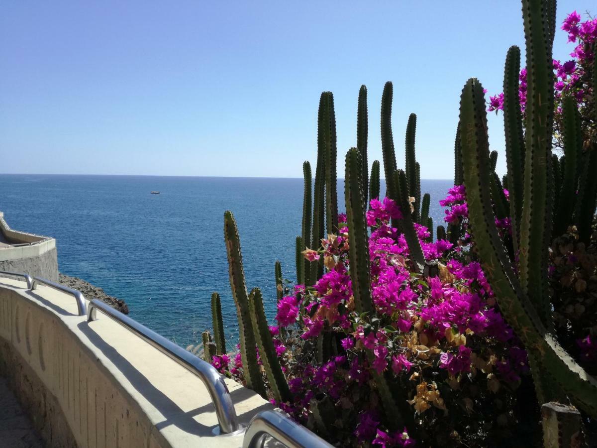 Apartment 3 Minutes From Puerto Rico Beach Mogán المظهر الخارجي الصورة